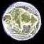 Buffalo nickel